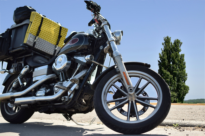 �Х����˲�ʪ���Ѻܤ�����ˡ�������ƥ����Ҳ𡪥ġ���󥰡������פ����˥����å�