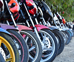 �Х��������󥭥󥰏����ޤ��ꥹ�����⤤�ּ�ϡ���������¿����ƻ�ܸ��ϡ�