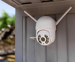 �Х����������ݸ����פ�ʤ����������٤��ʤΤϤ���ʿ͡�