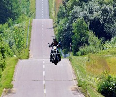 �꥿����饤�������緿�Х����ޤǳڤ��ि������祬����