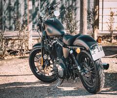 �Х����˥��饤���������夷��ž�ݤ�Ω���������鰦�֤��롪