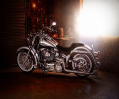 ���͡�ʿ�楨�ꥢ���緿�Х����ѡ����󥰡ʷ����־�ˤ������ץ�