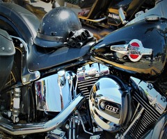 �緿�Х�����Ⱦ�إ��OK�ʤΡ��إ��åȤ˴ؤ���ˡΧ�����ʤ��Τ�